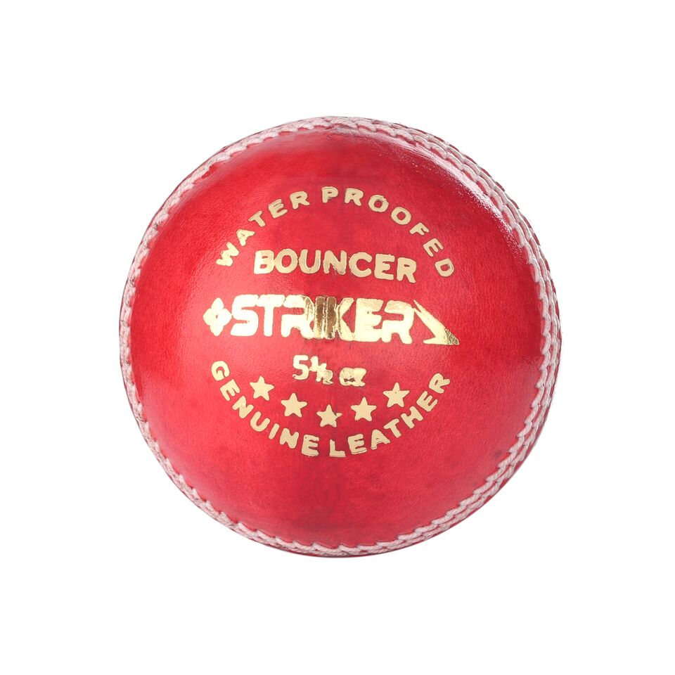 bouncer ball